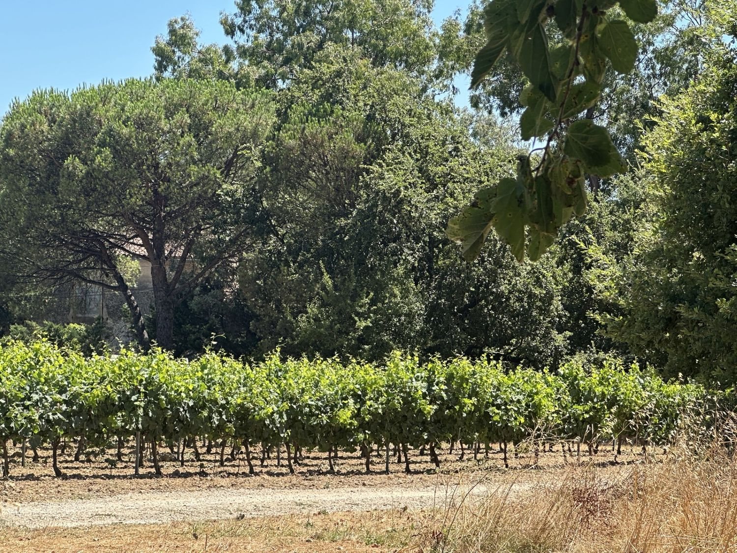 Maison à vendre, 80m², Grimaud