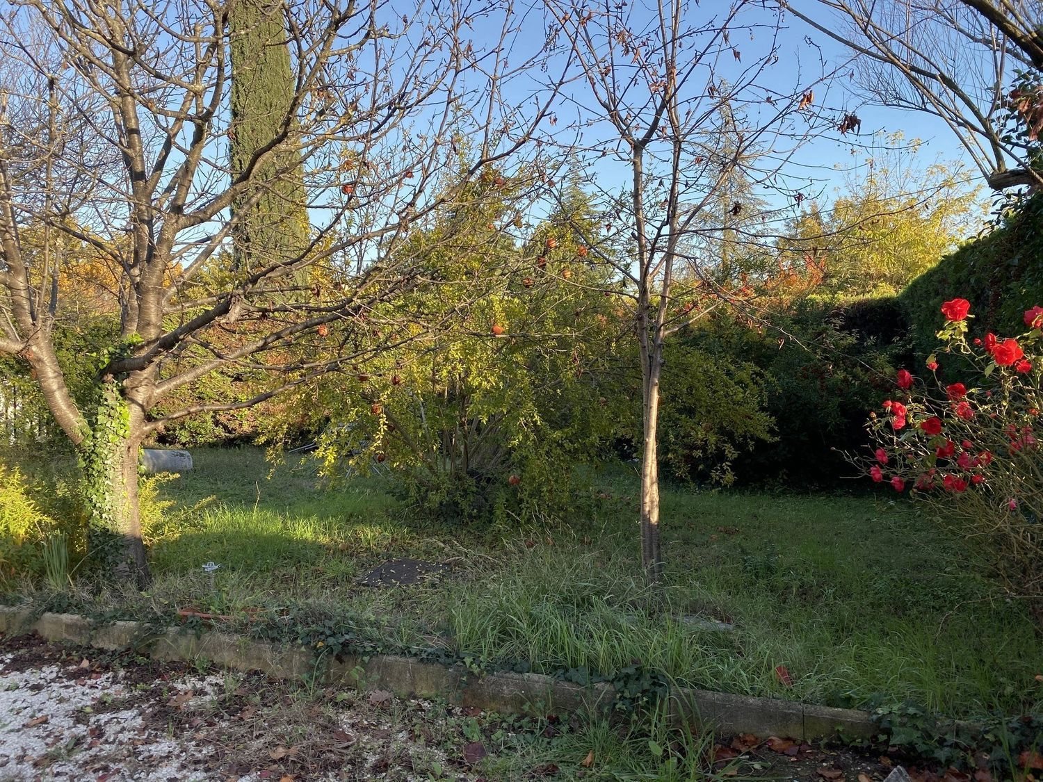 Appartement à louer, 60m², Meyreuil
