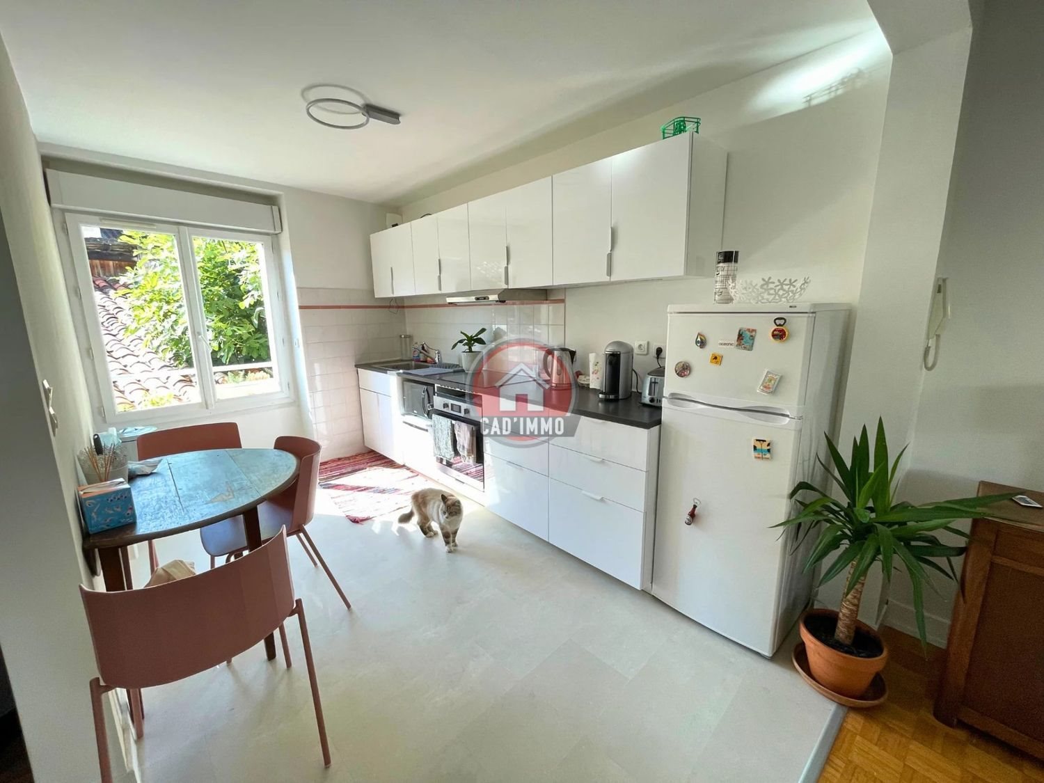 Appartement à louer, 61m², Périgueux