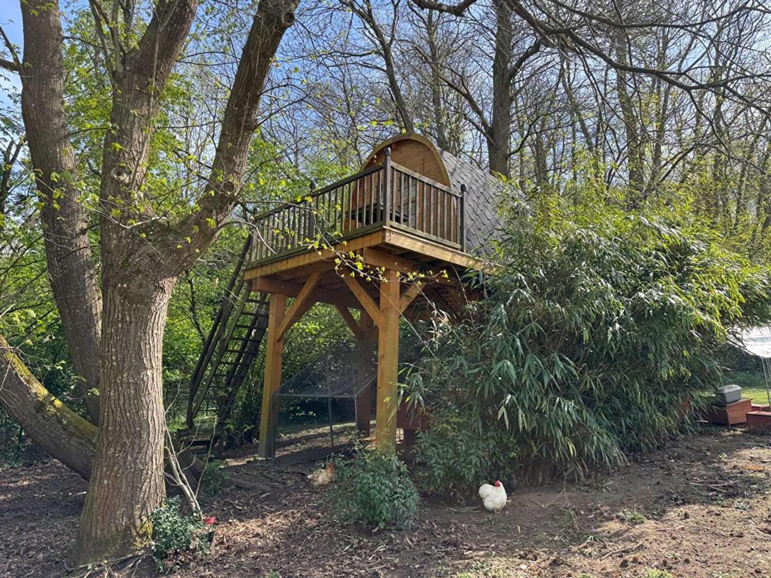 Maison à vendre, 155m², Bazoches-sur-Guyonne