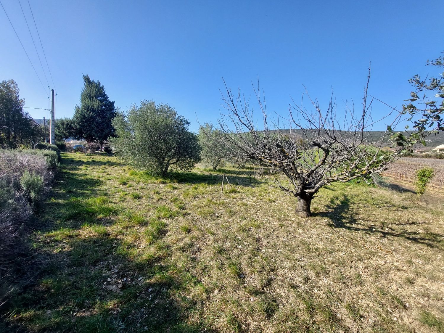 Maison à vendre, 98m², Saint-Montan