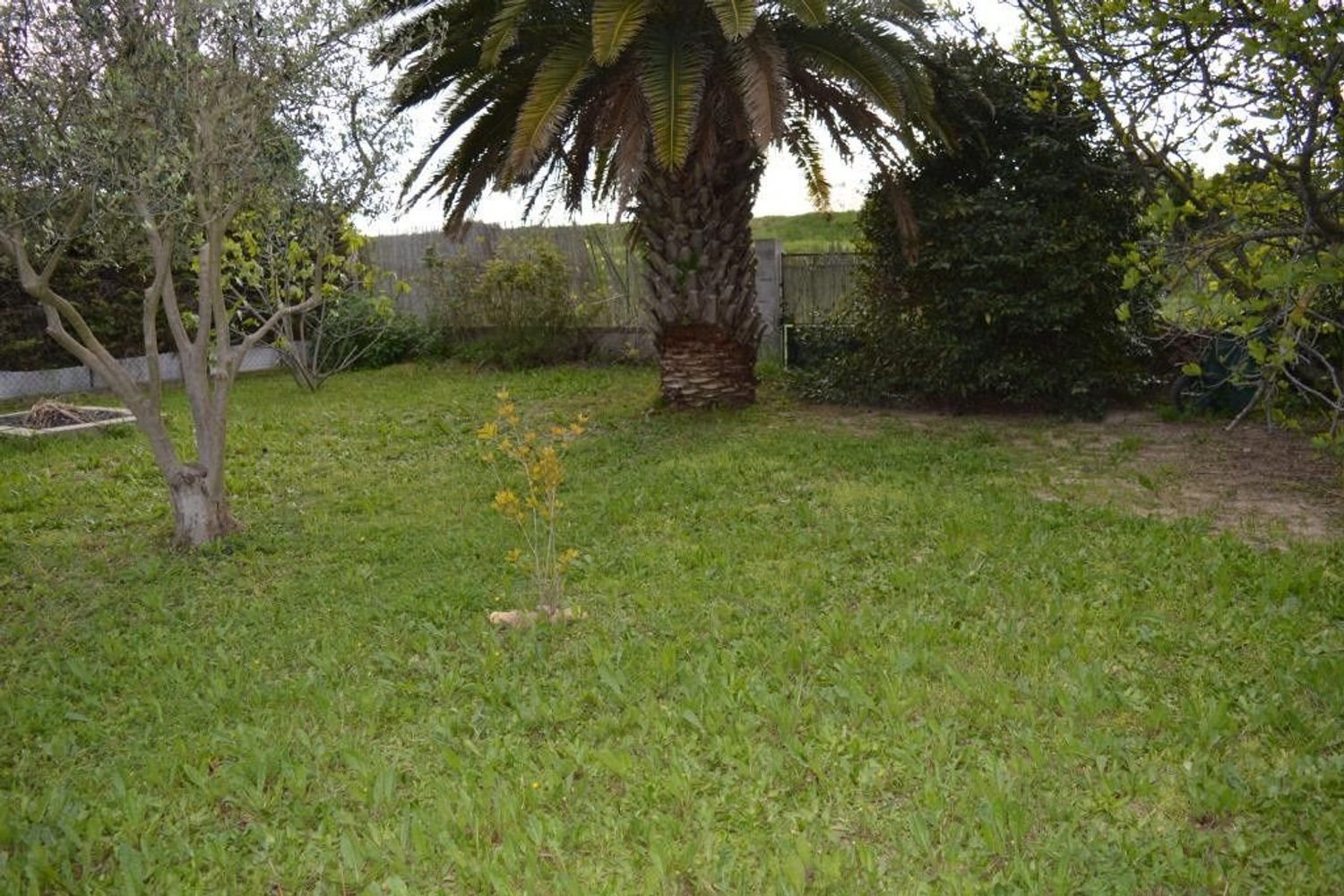 Maison à vendre, 83m², Lattes