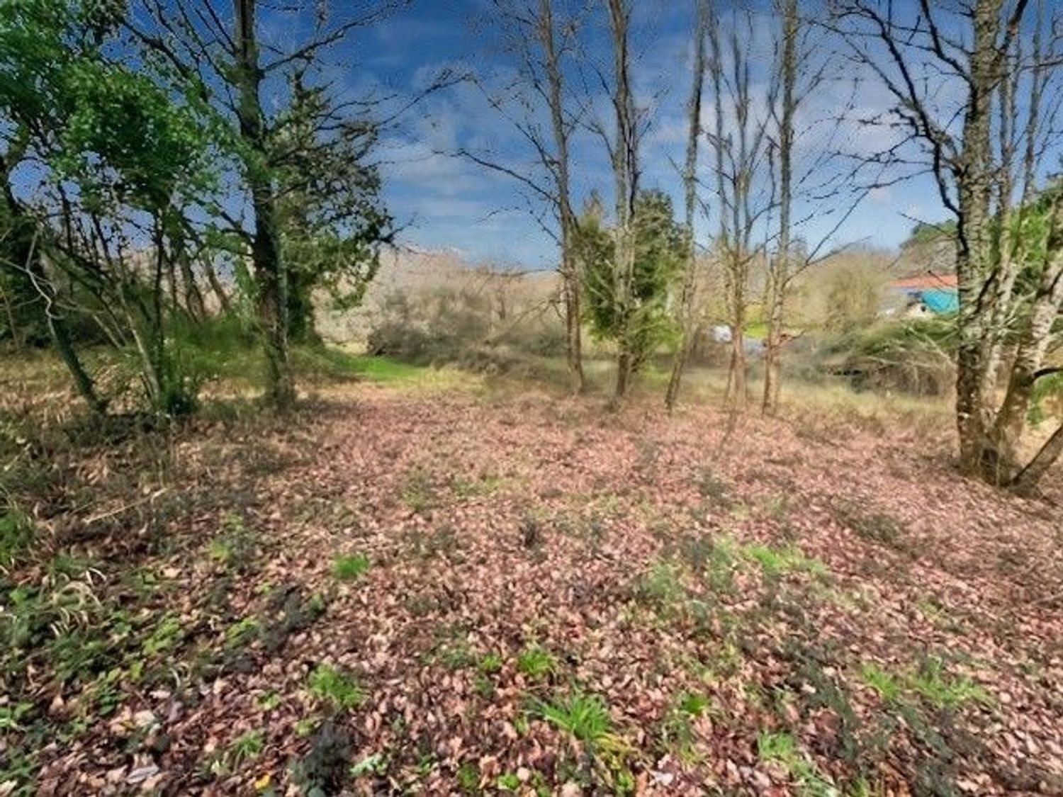 Maison à vendre, 78m², Saint-Astier