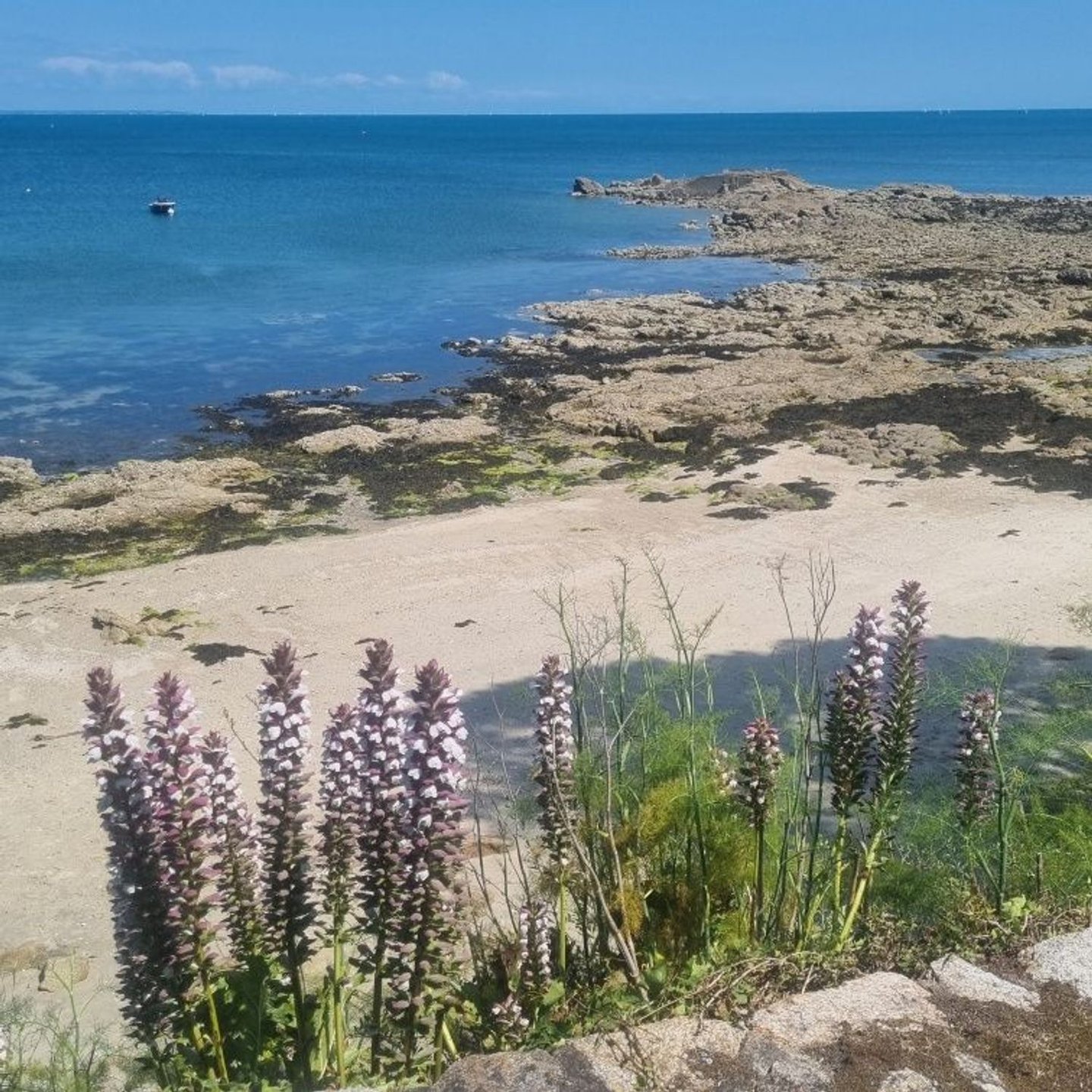 Maison à vendre, 72m², Saint-Pierre-Quiberon