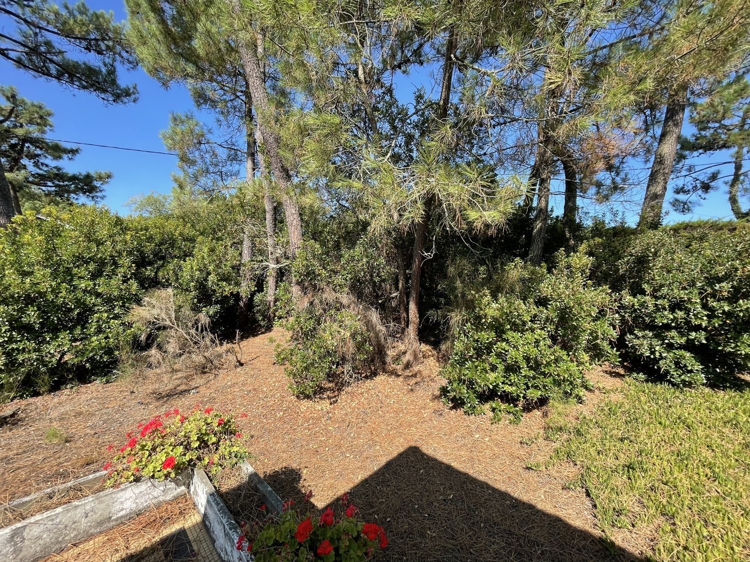 Maison à vendre, 70m², Lège-Cap-Ferret