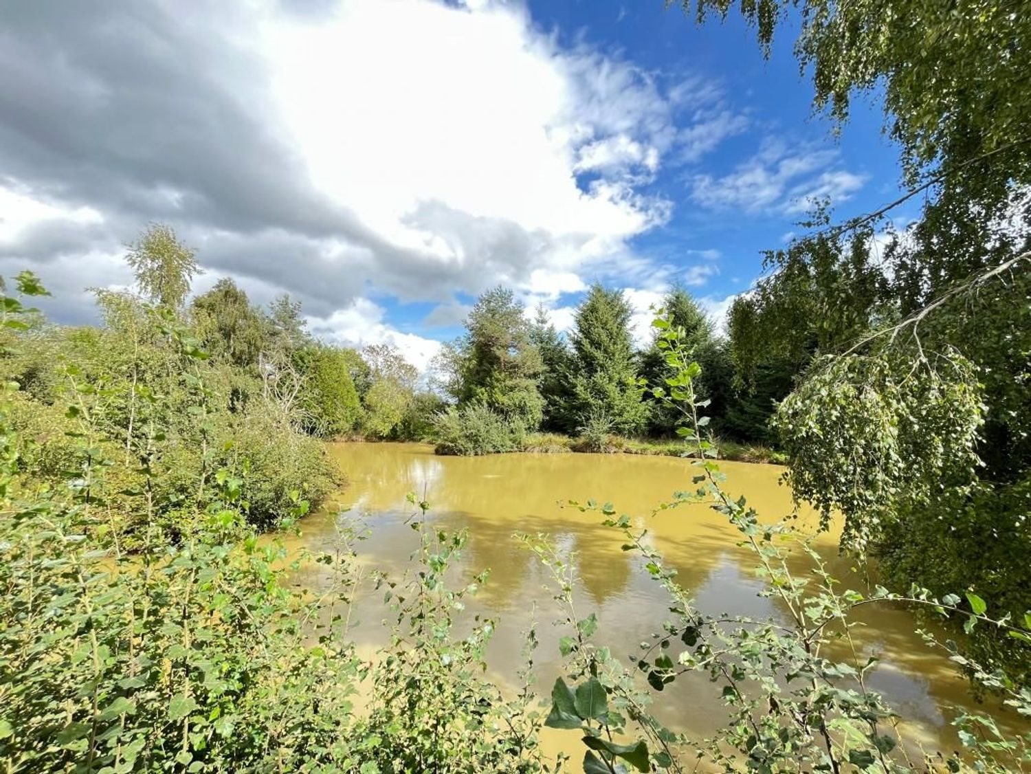 Maison à vendre, 125m², Champfrémont