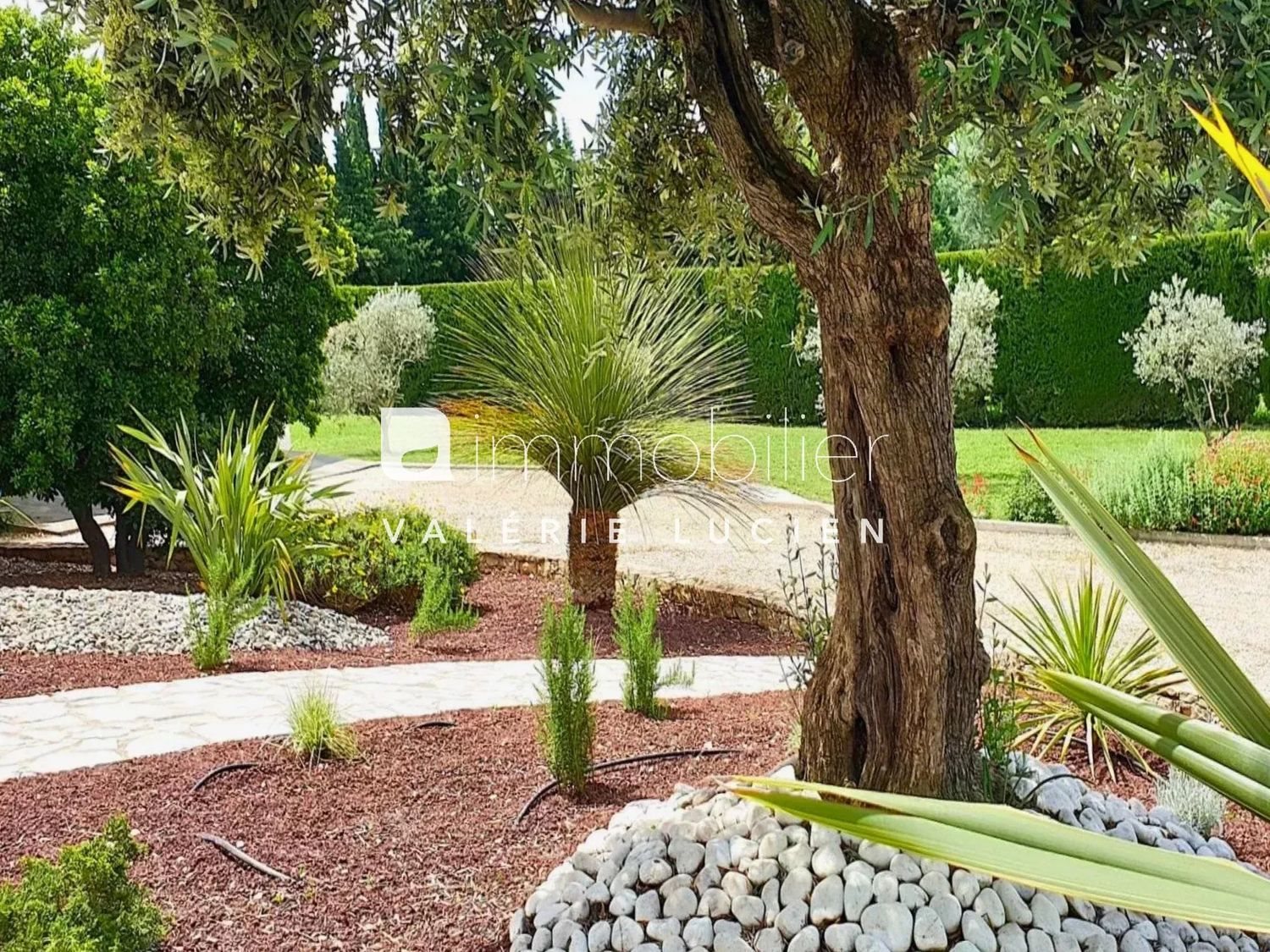 Maison à louer, 215m², Eygalières