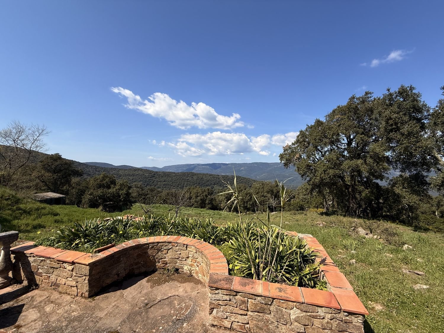 Maison à vendre, 330m², Le Lavandou