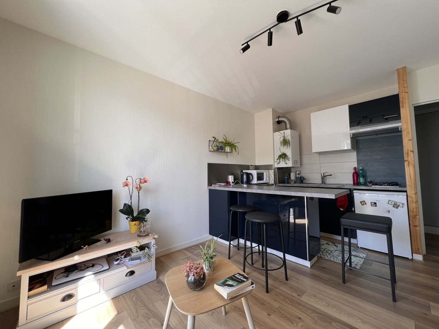 Appartement à vendre, 33m², La Riche