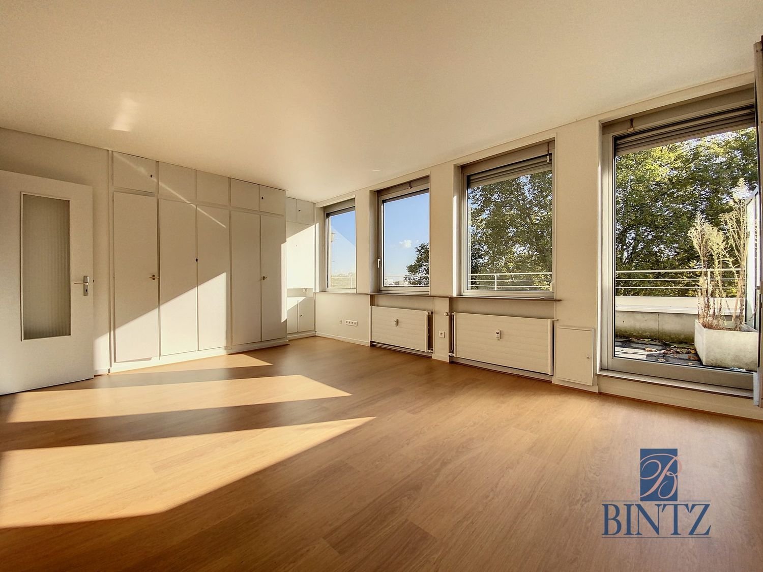Appartement à louer, 163m², Strasbourg