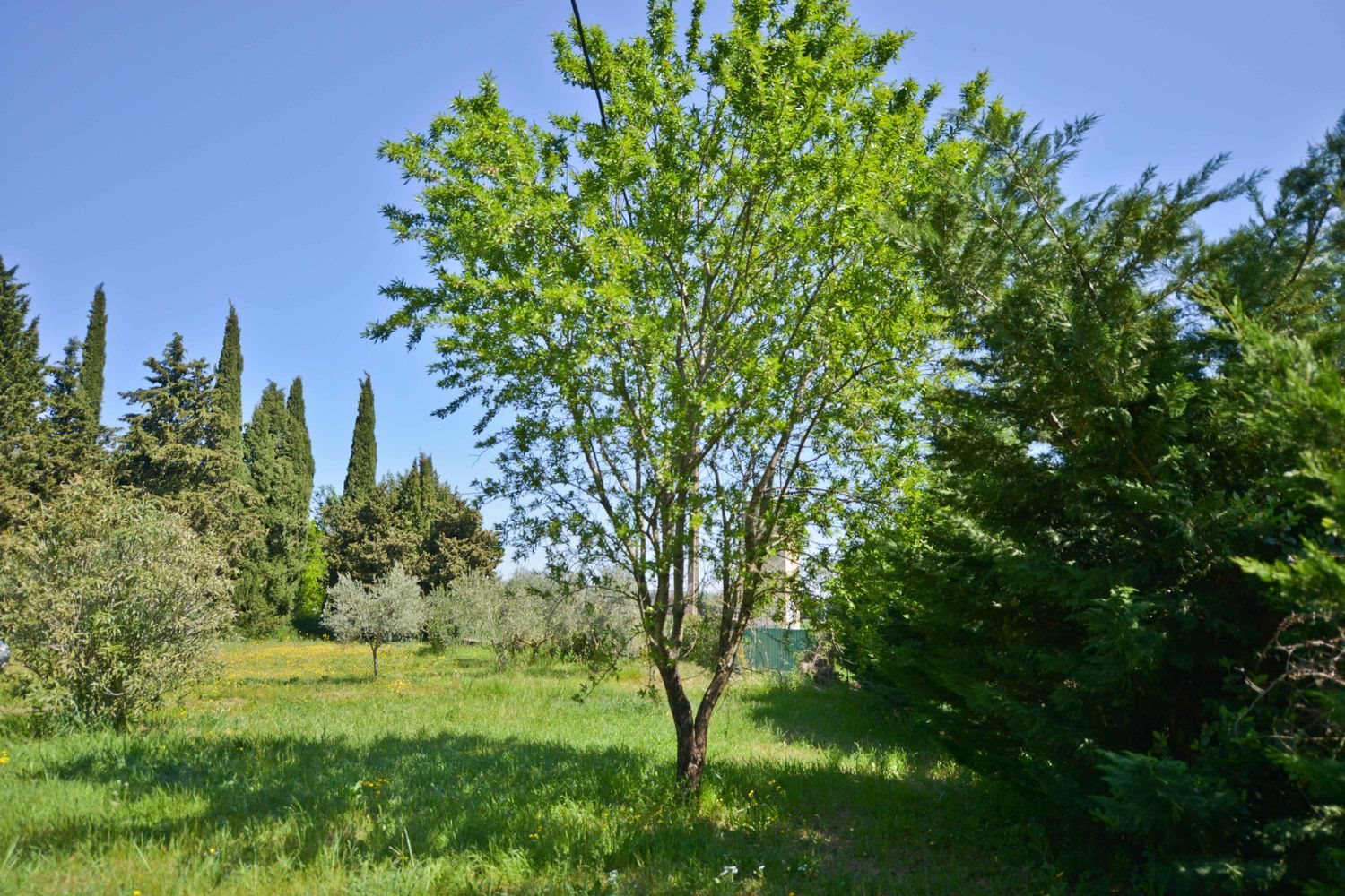 Maison à vendre, 100m², Uzès