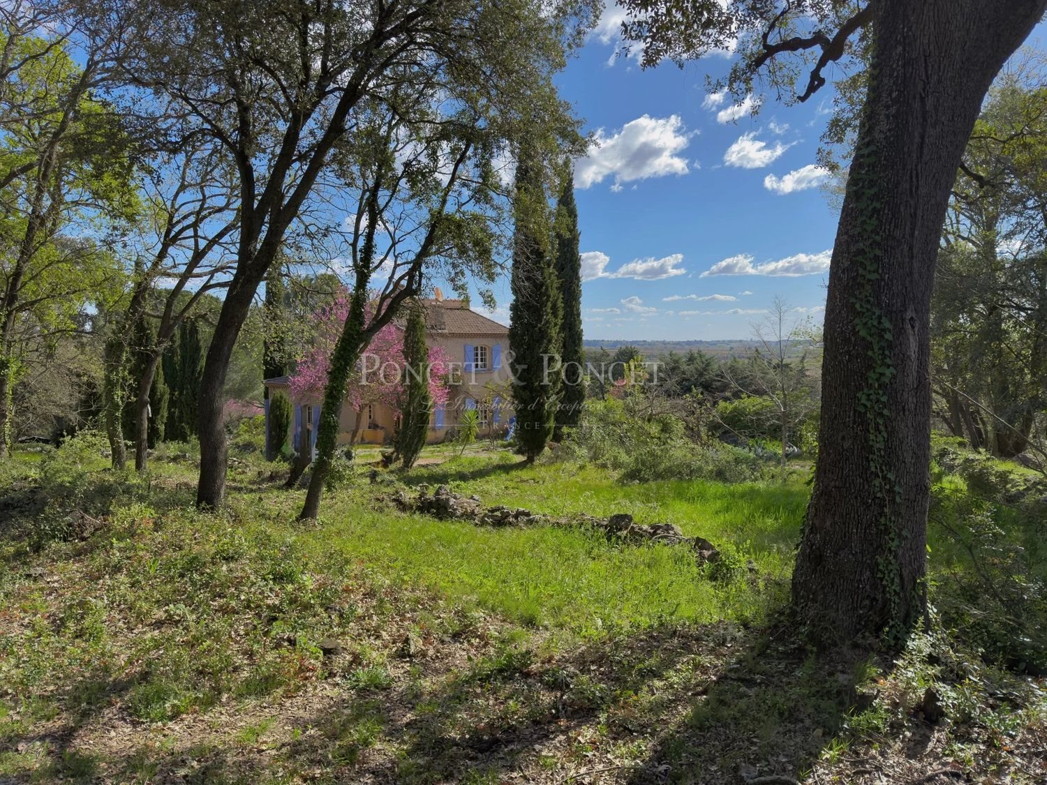 Maison à vendre, 165m², Pignan