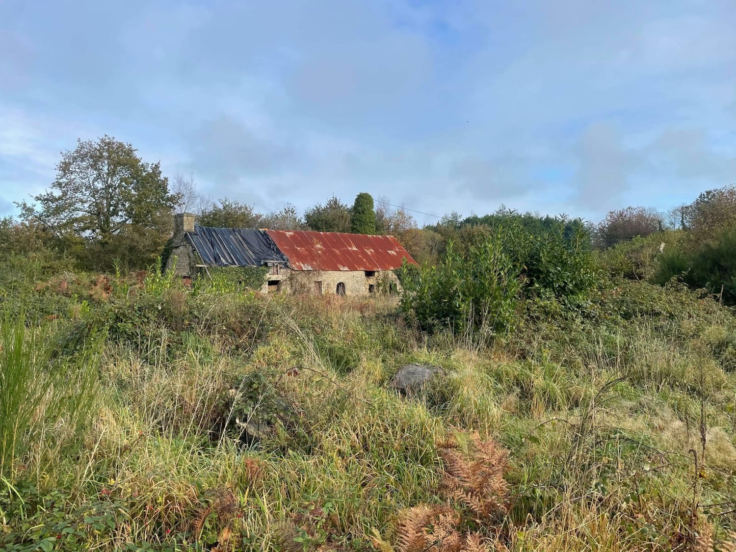 Maison à vendre, 85m², Baud