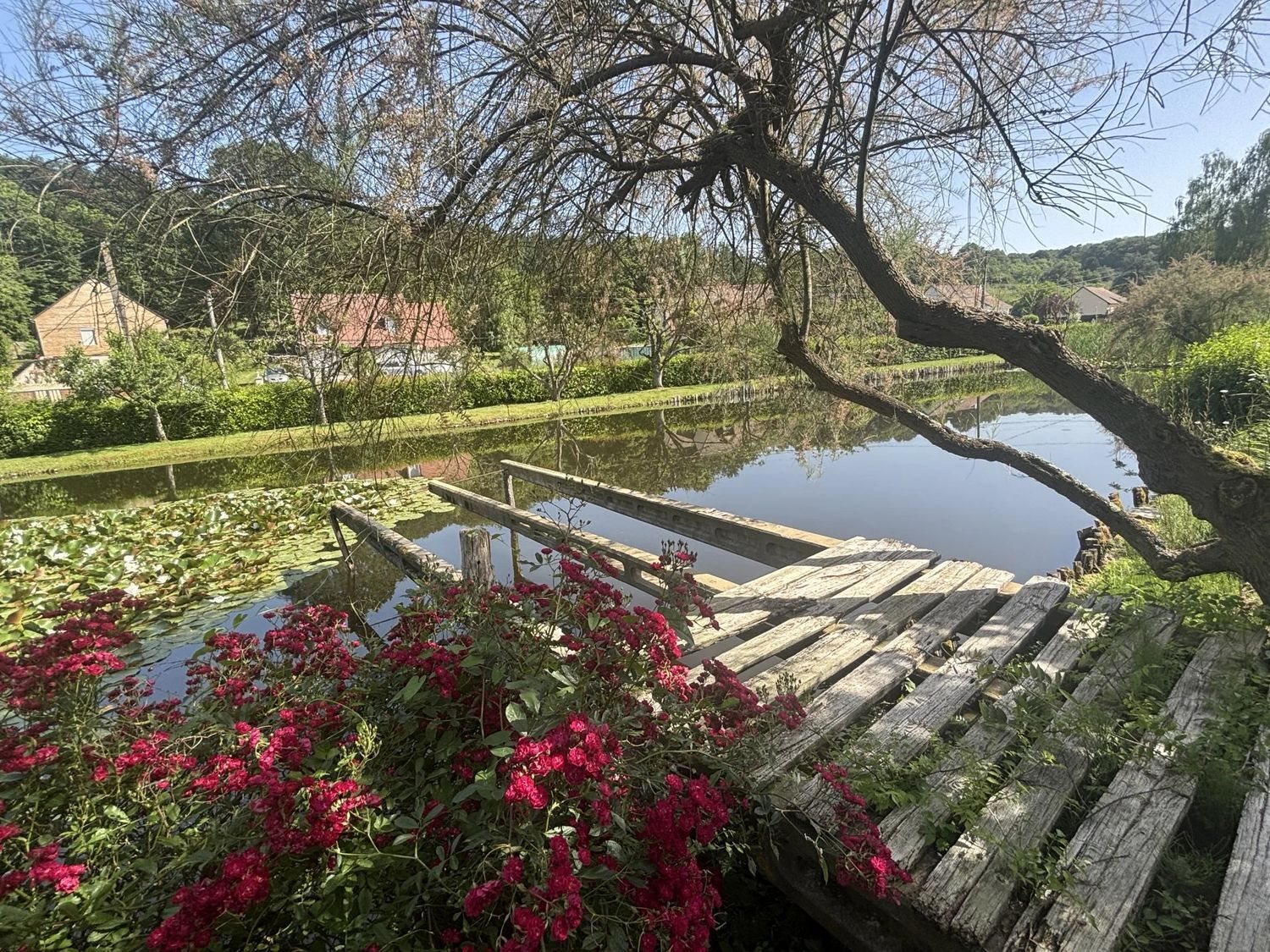 Maison à vendre, 177m², Thorigné-sur-Dué