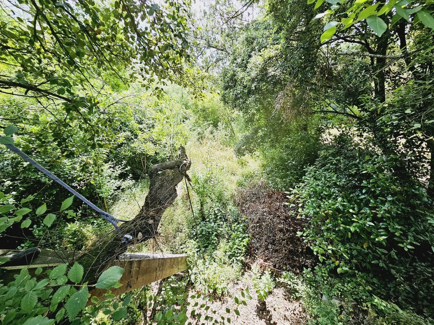 Maison à vendre, 48m², Vignevieille