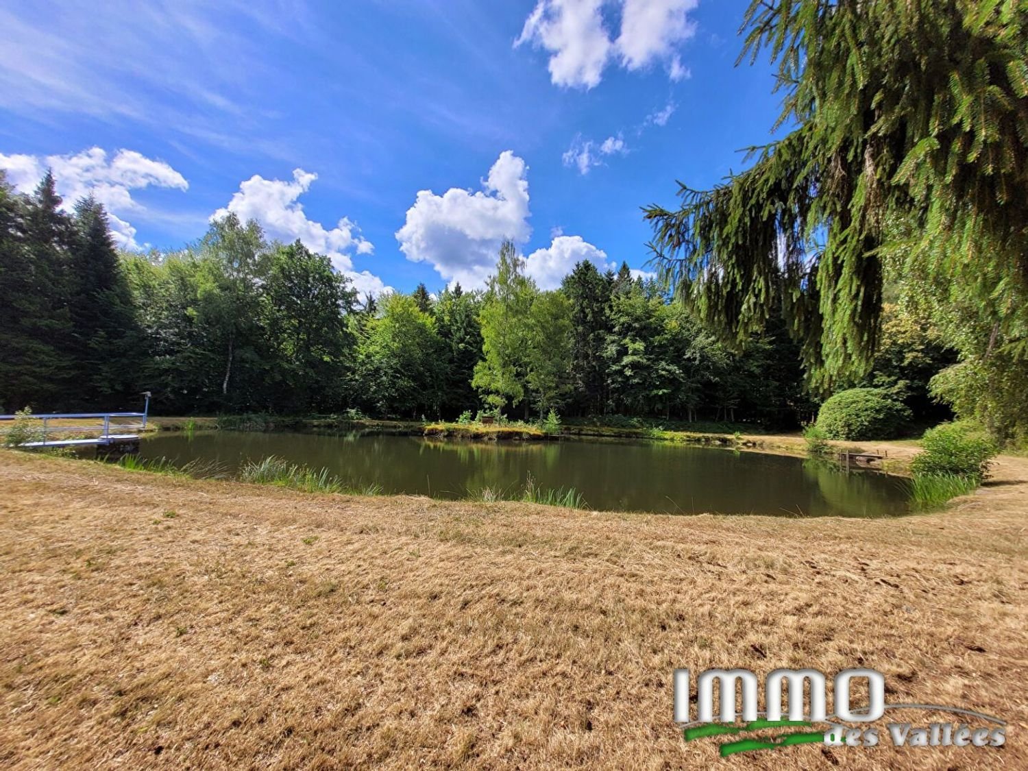 Maison à vendre, 273m², Fresse-sur-Moselle
