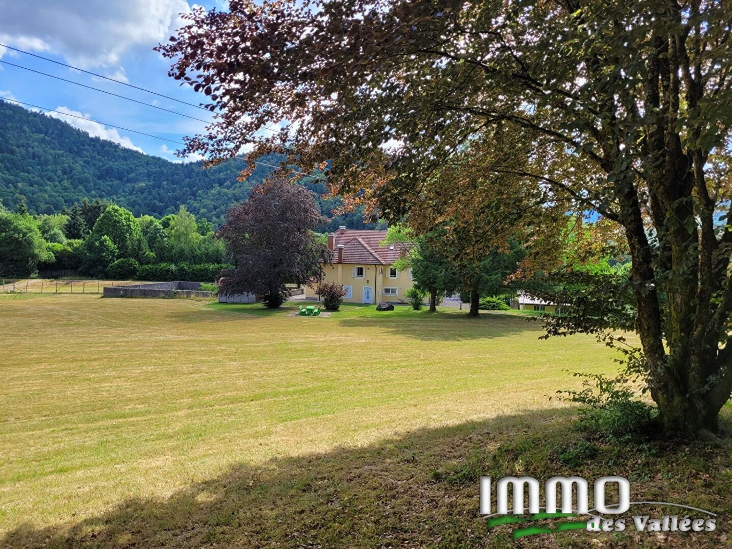 Maison à vendre, 273m², Fresse-sur-Moselle