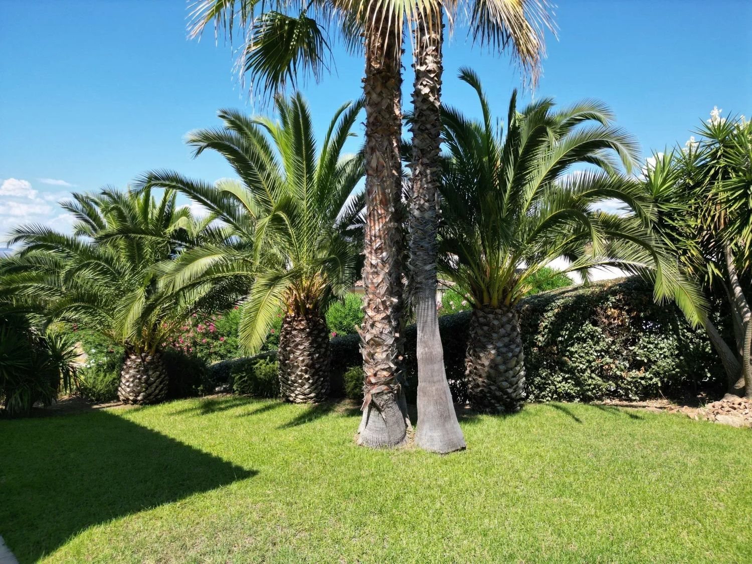 Maison à vendre, 220m², Pietrosella