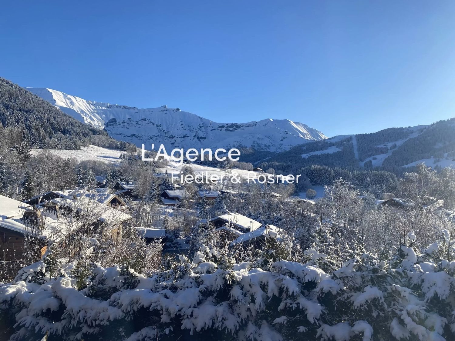 Maison à louer, 450m², Megève
