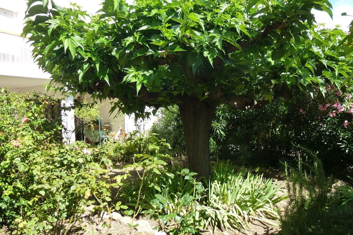 Maison à vendre, 133m², Nîmes