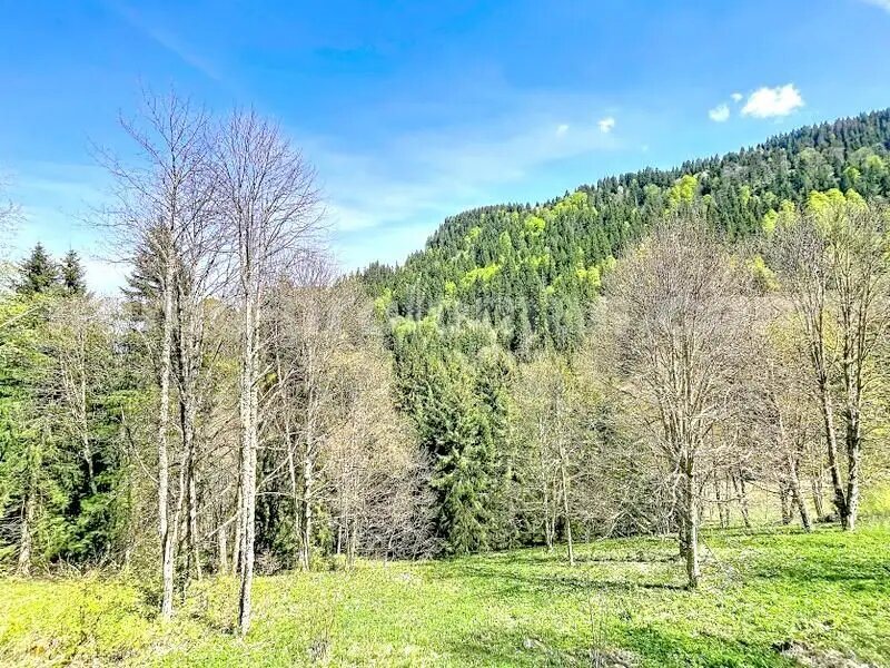 Maison à vendre, 97m², Brizon