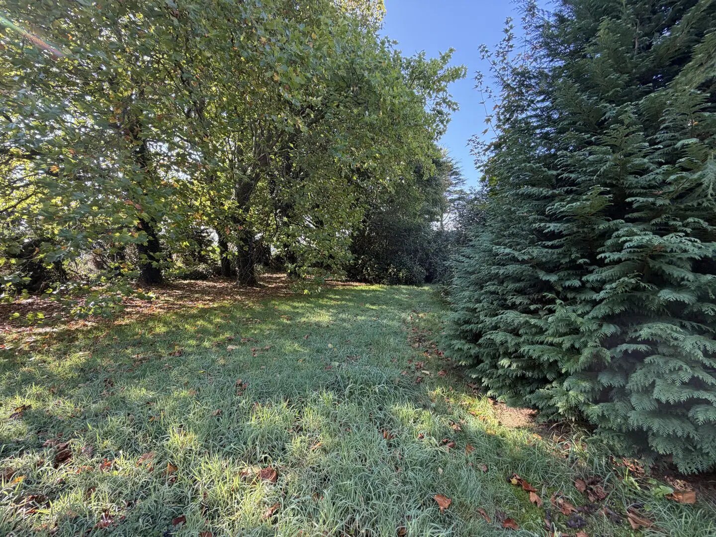 Maison à vendre, 231m², Lampaul-Guimiliau