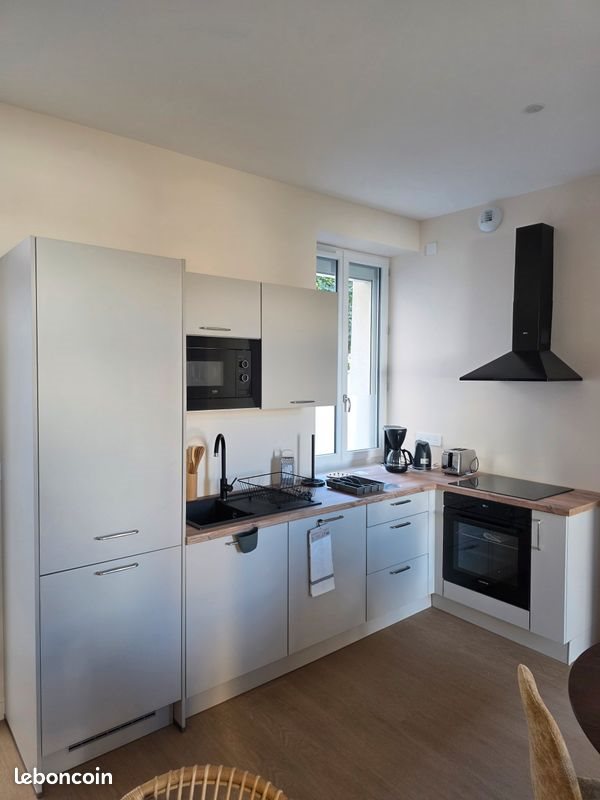 Appartement à louer, 47m², Oullins