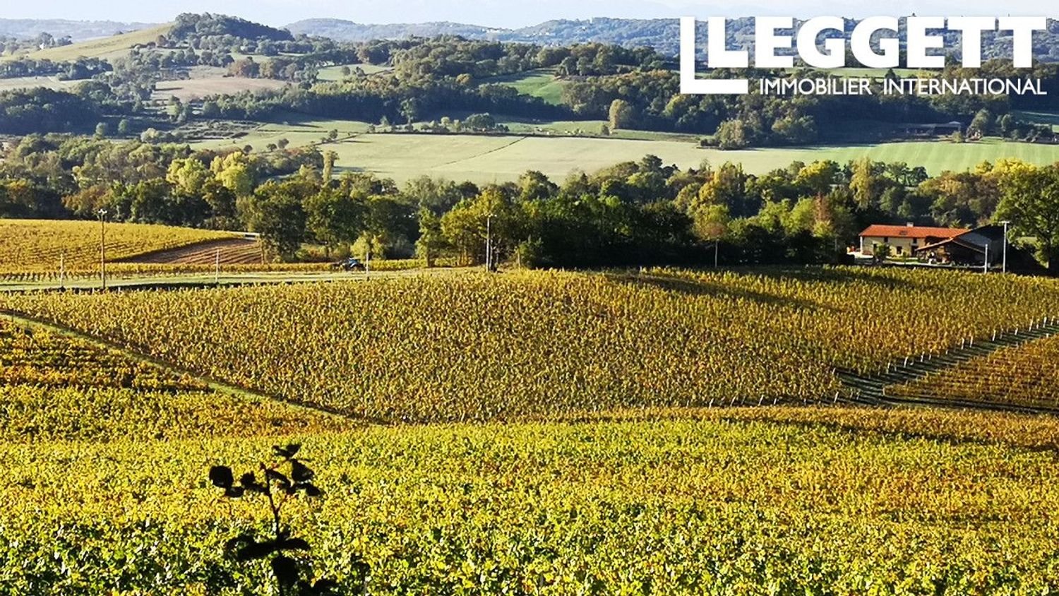Maison à vendre, 370m², Saint-Mont