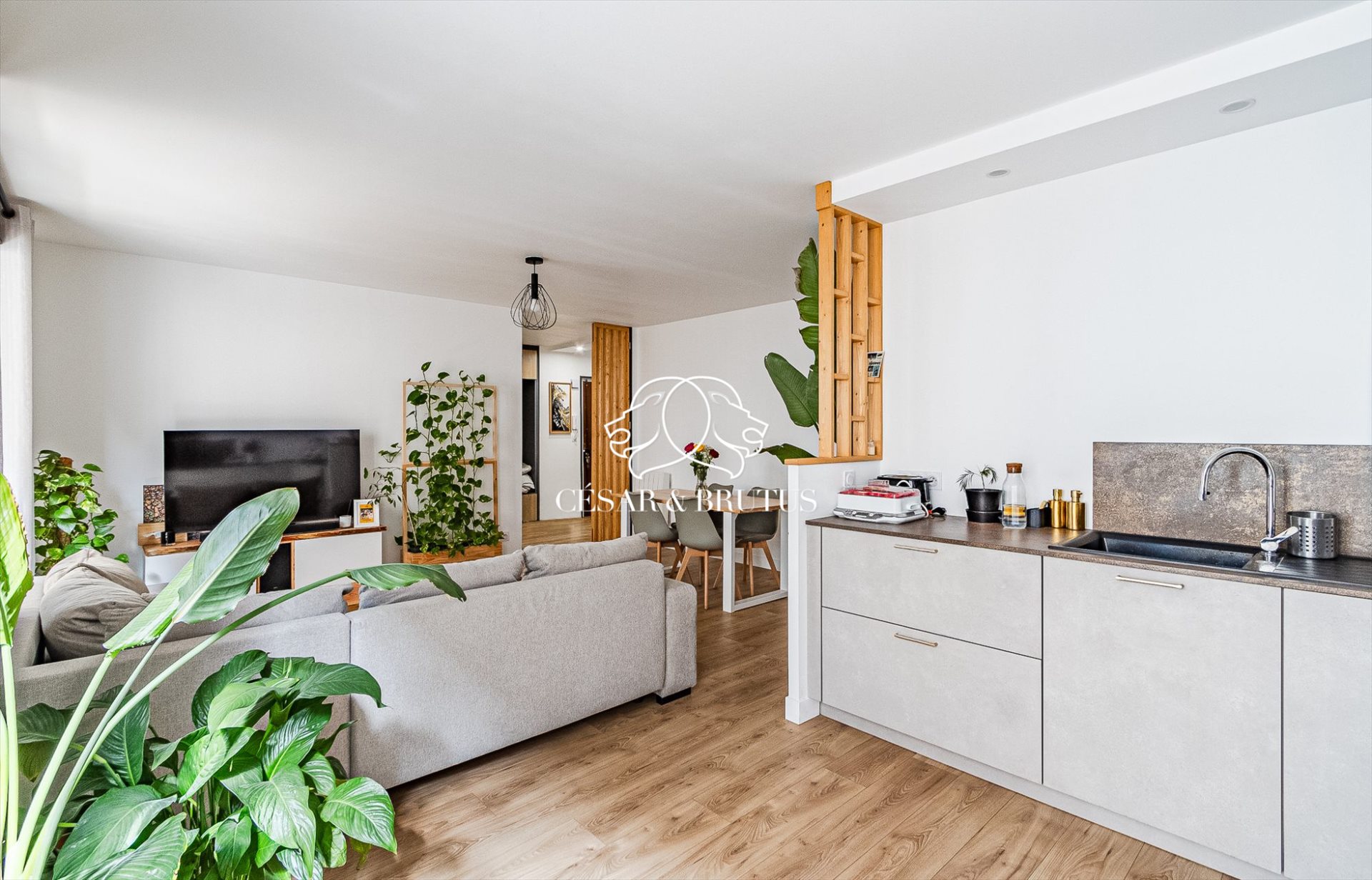 Appartement à vendre, 87m², Fontaines-sur-Saône