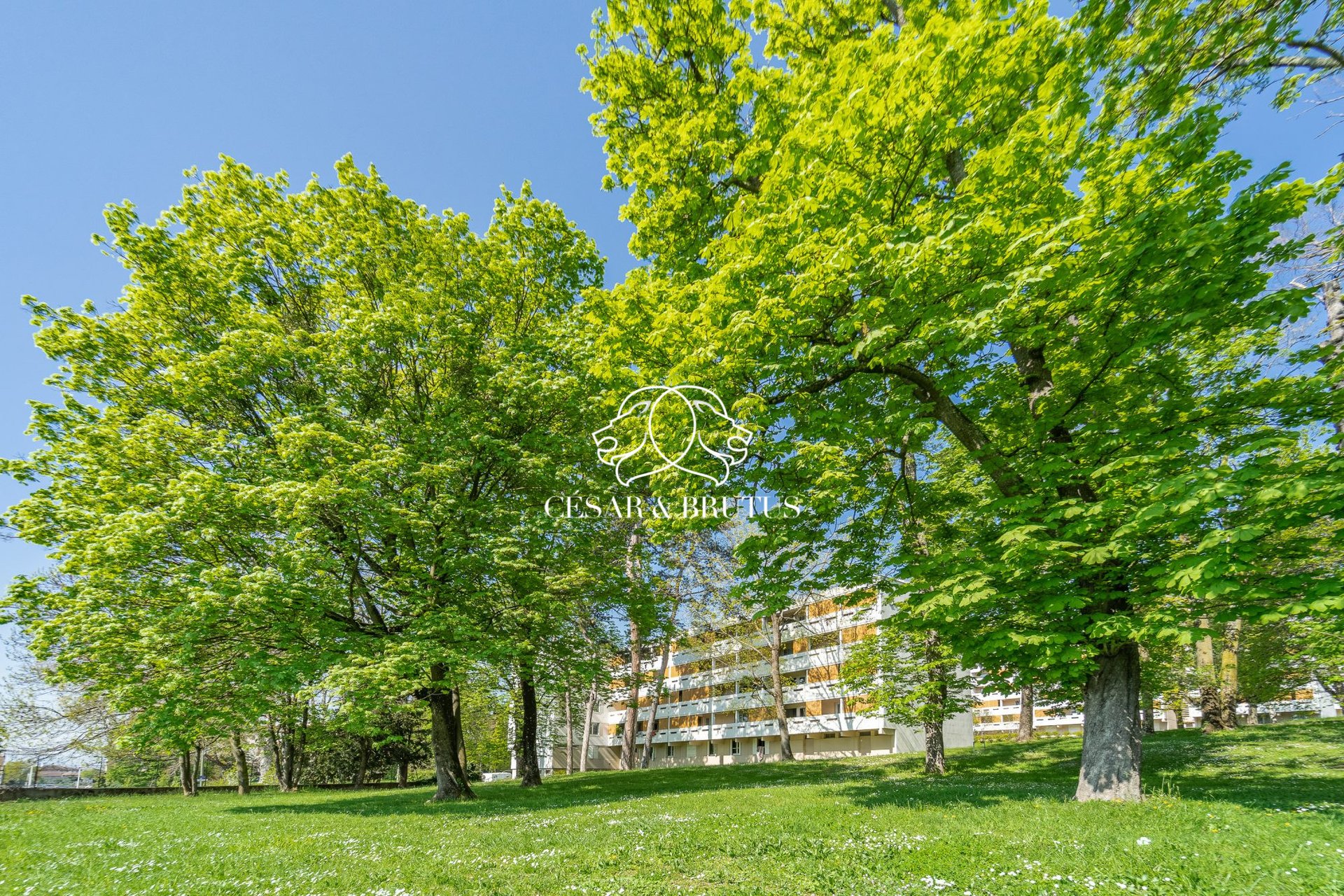 Appartement – Lyon - Vue 3