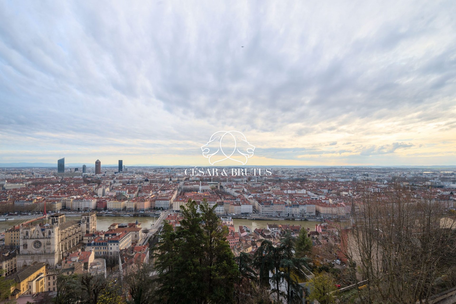 Appartement – Lyon - Vue 5