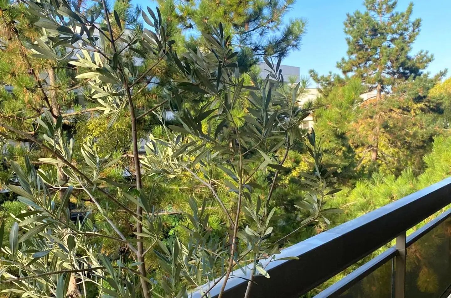 Appartement à vendre, 45m², Neuilly-sur-Seine
