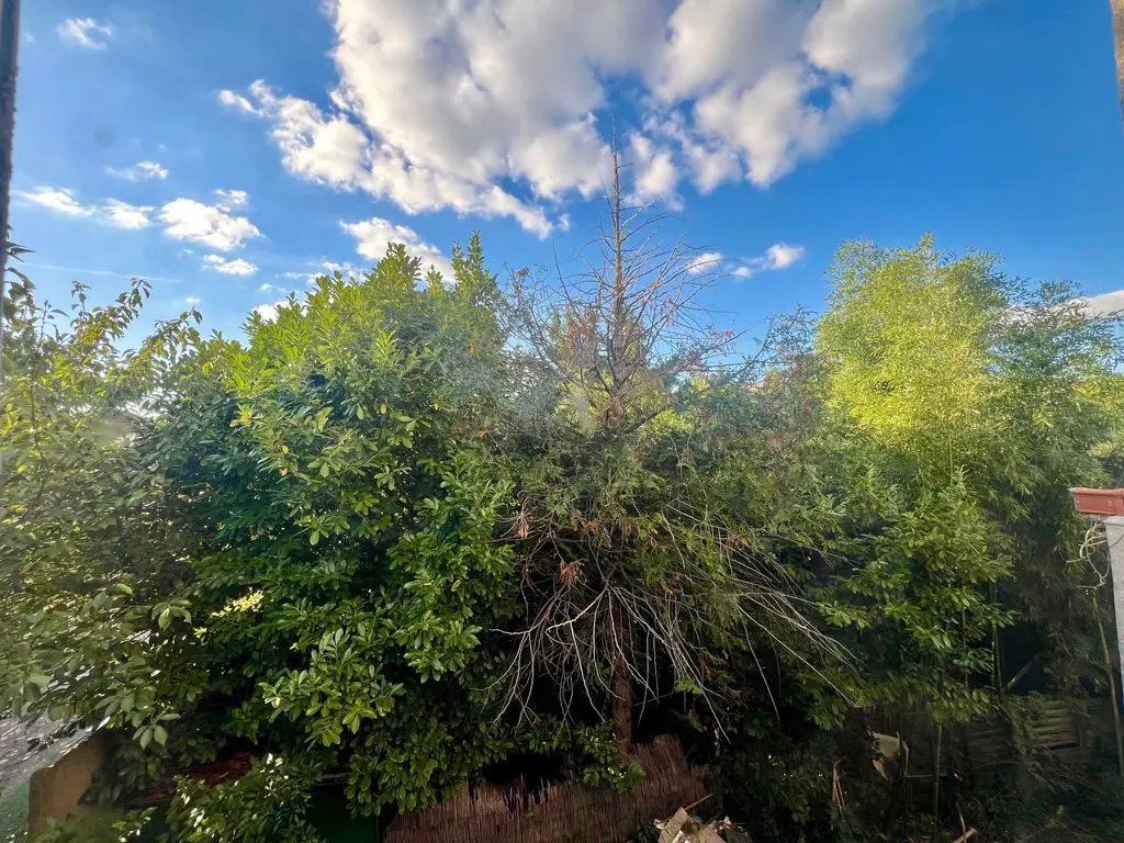 Appartement à louer, 38m², Rosny-sous-Bois
