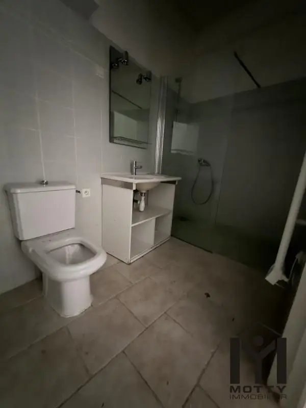 Appartement à louer, 24m², Nancy