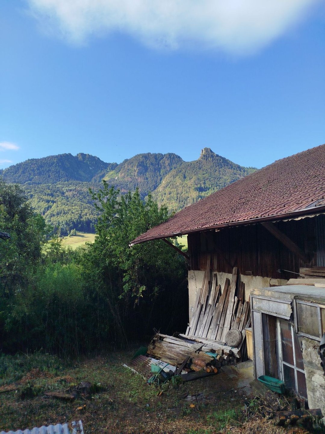 Maison à vendre, 320m², Chevenoz