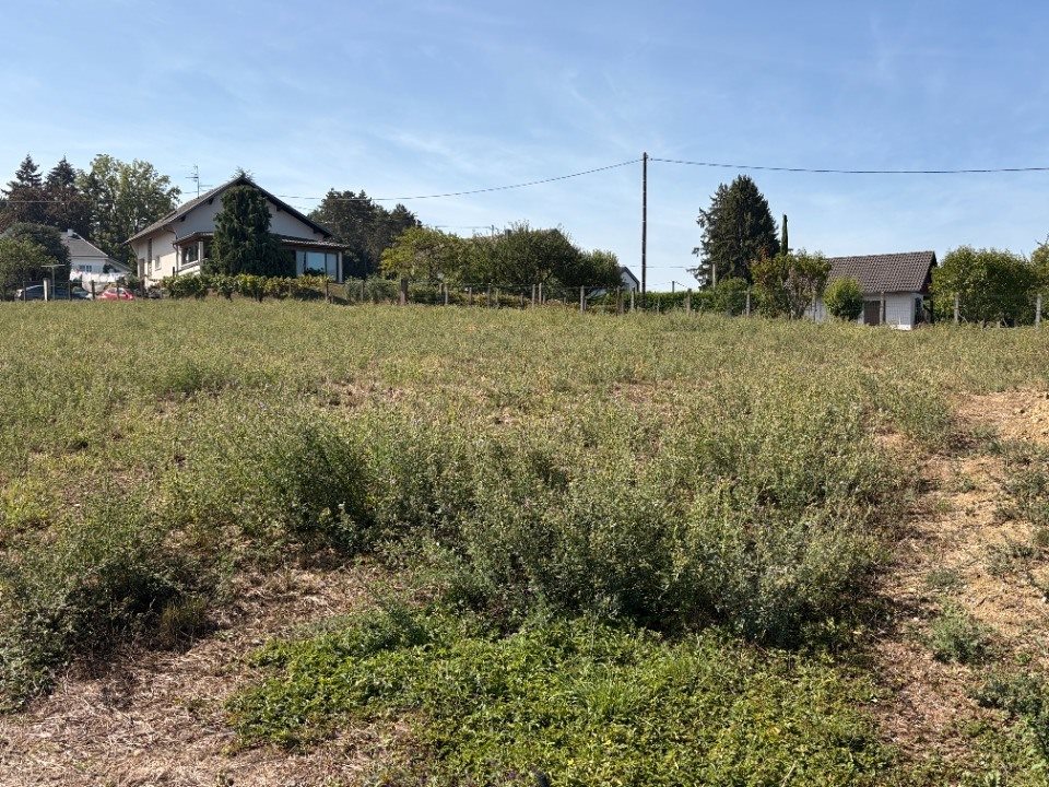 Maison à vendre, 91m², Dietwiller