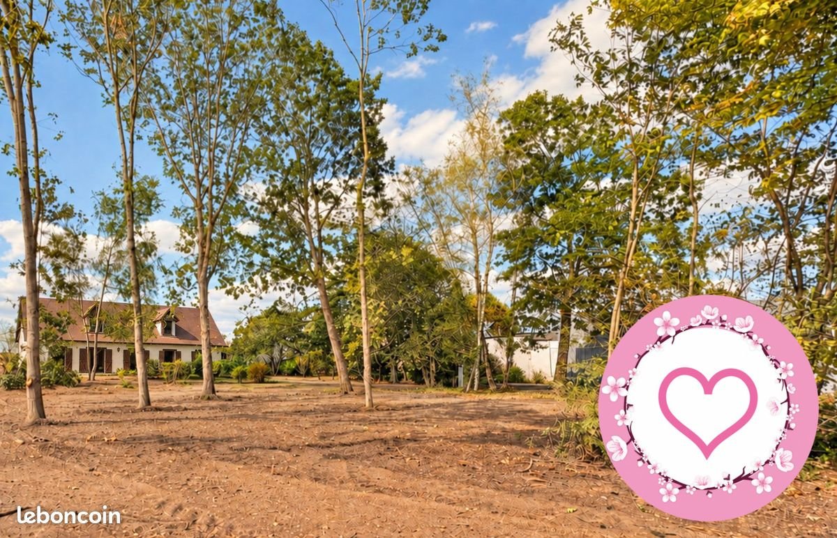 Maison à vendre, 164m², Bonnée