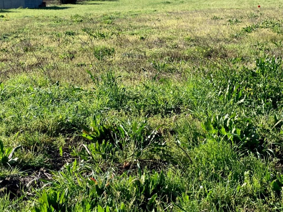 Maison à vendre, 60m², Pisany
