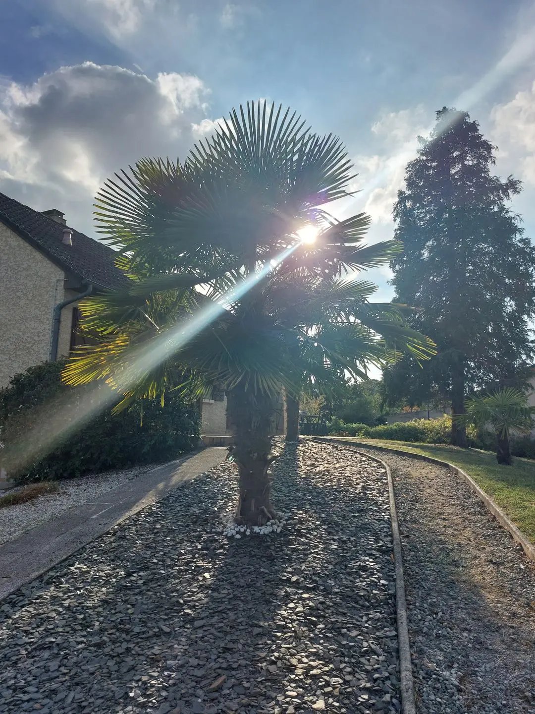 Maison à vendre, 85m², Savigné-l'Evêque