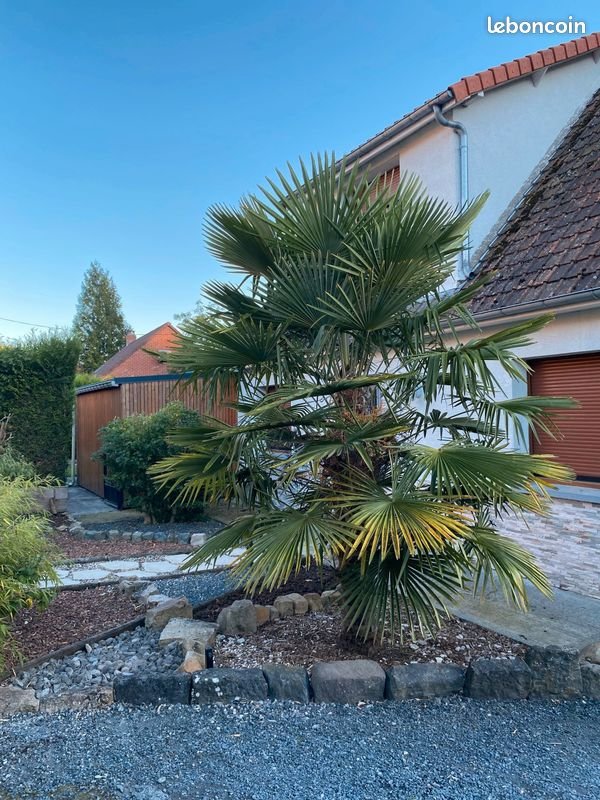 Maison à vendre, 157m², Villers-Pol