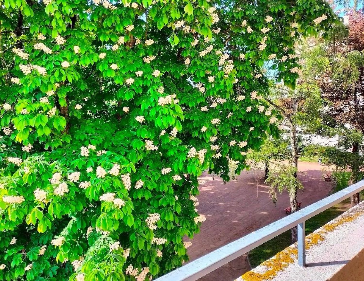 Appartement à louer, 58m², Le Coteau