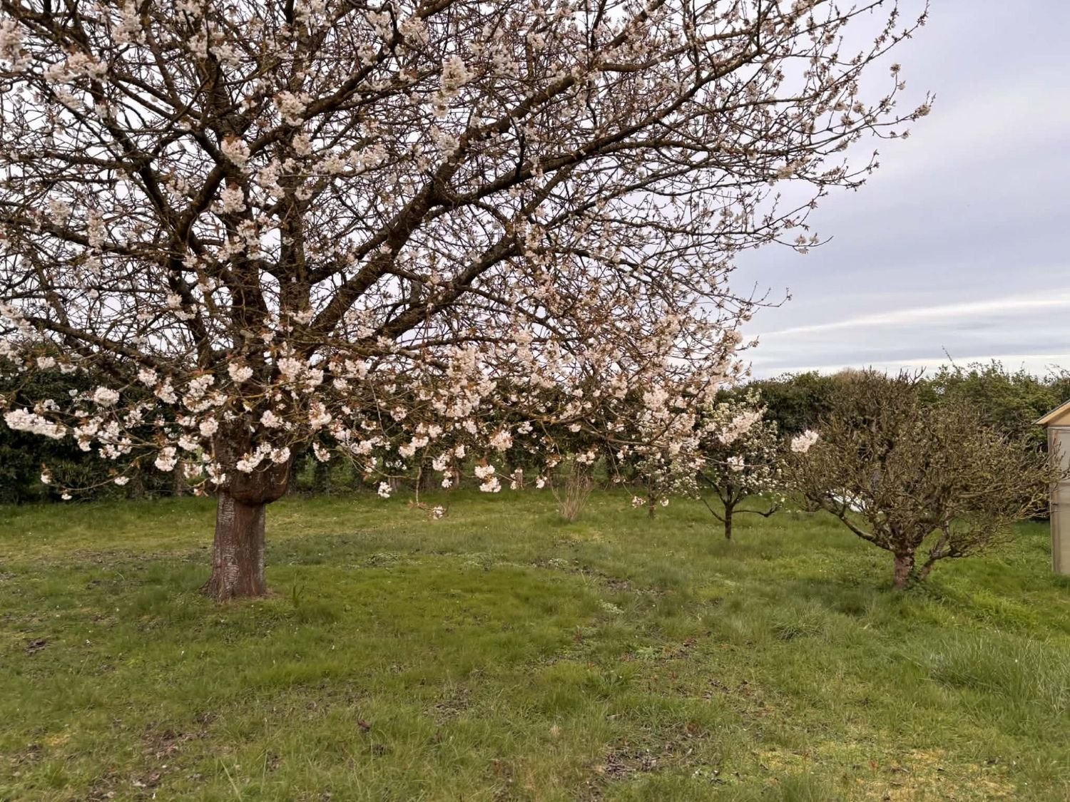 Maison à vendre, 60m², Conlie