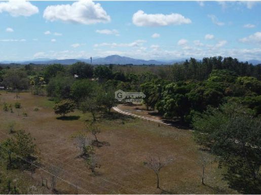 Advert pic 0