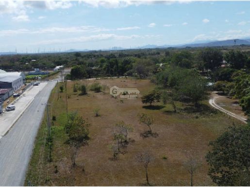 Advert pic 0