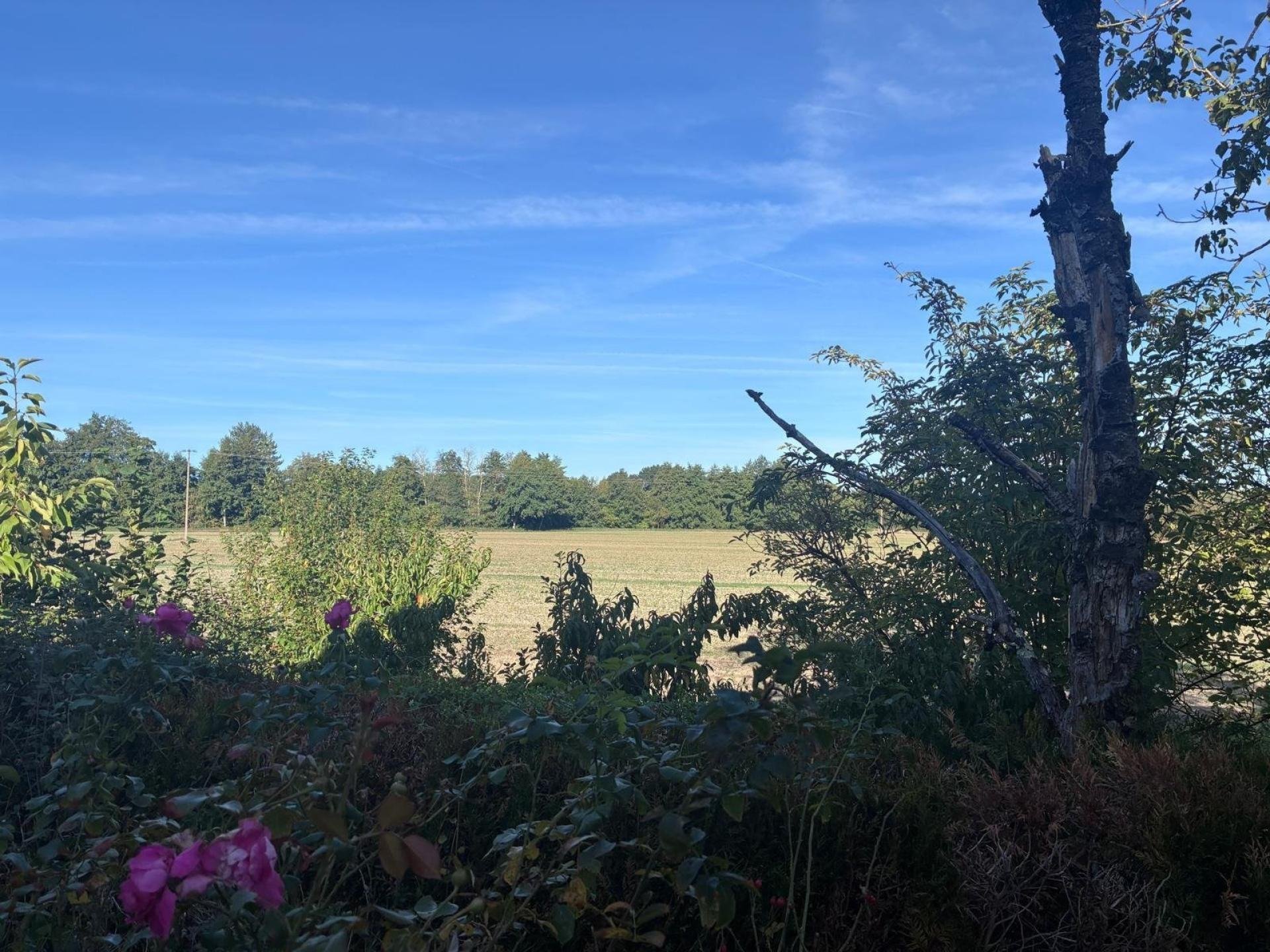 Maison à vendre, 100m², Sully-sur-Loire