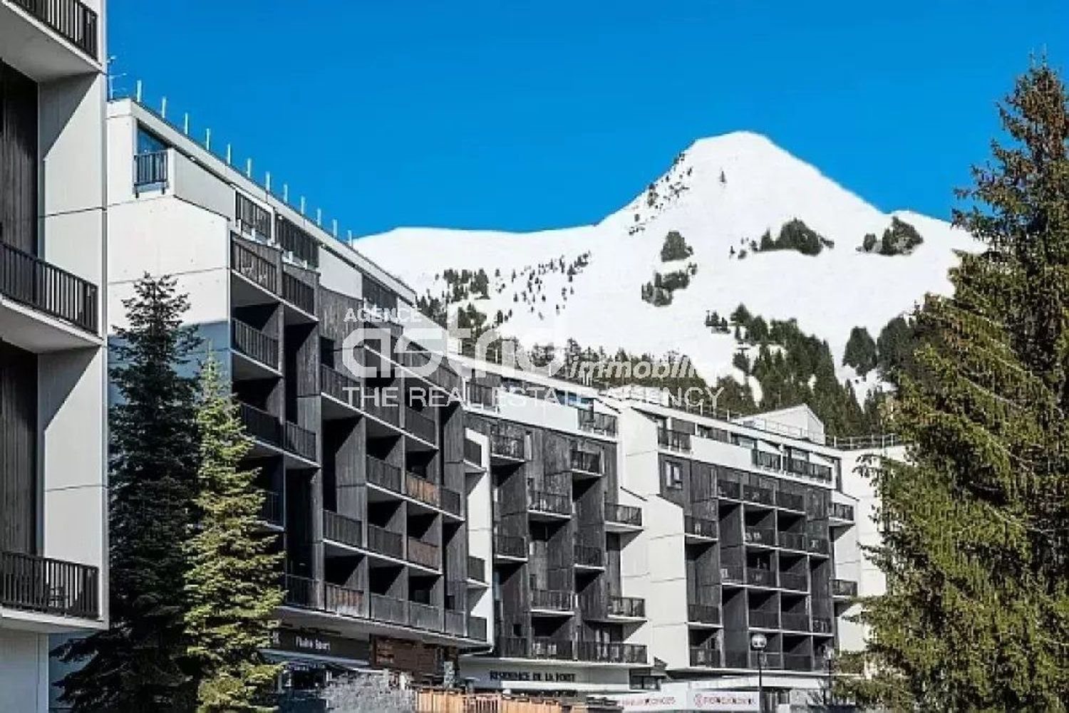 Appartement à vendre, 35m², Arâches-la-Frasse (Les Carroz d'Arâches)