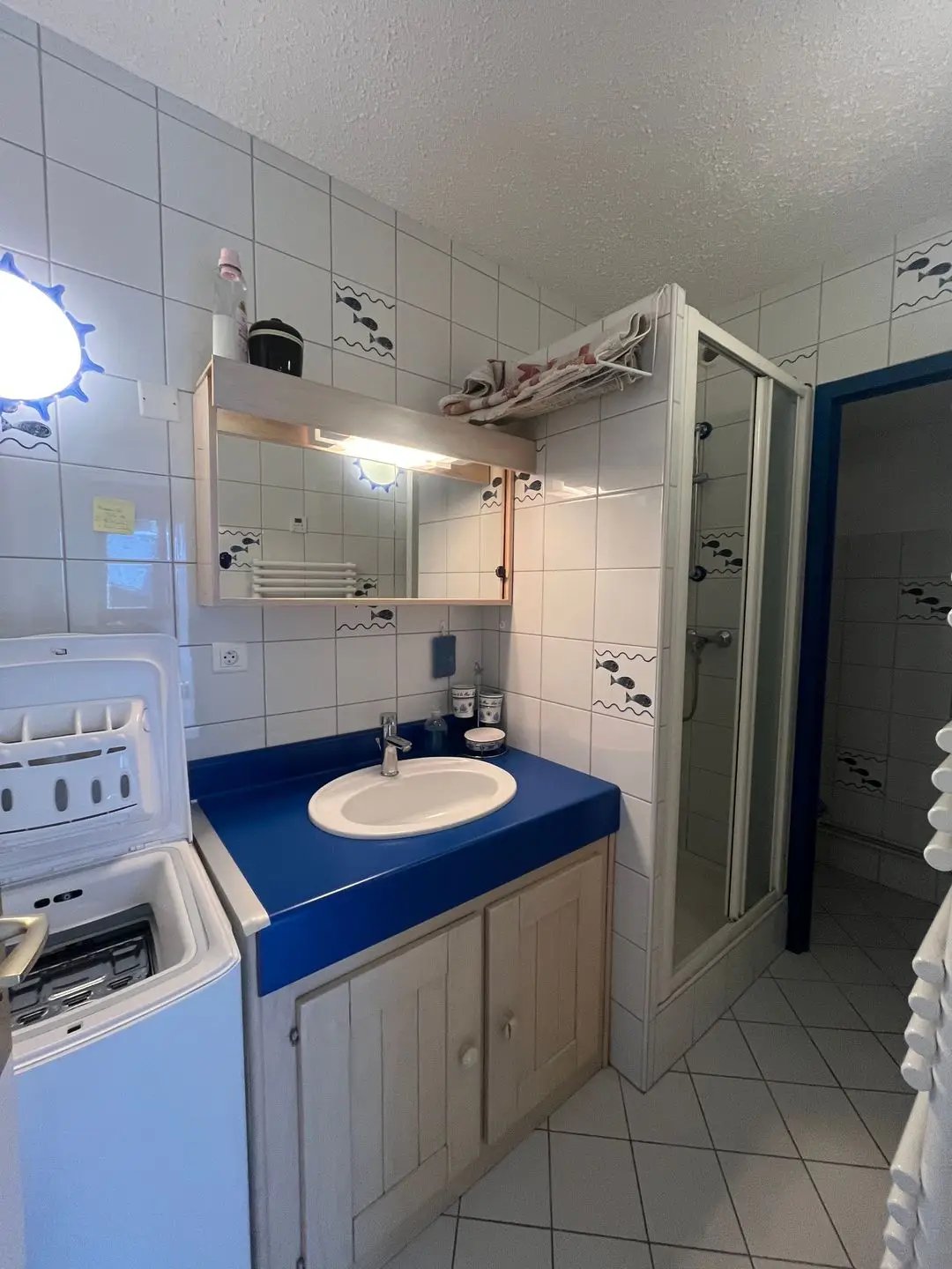 Appartement à vendre, 27m², Esquièze-Sère