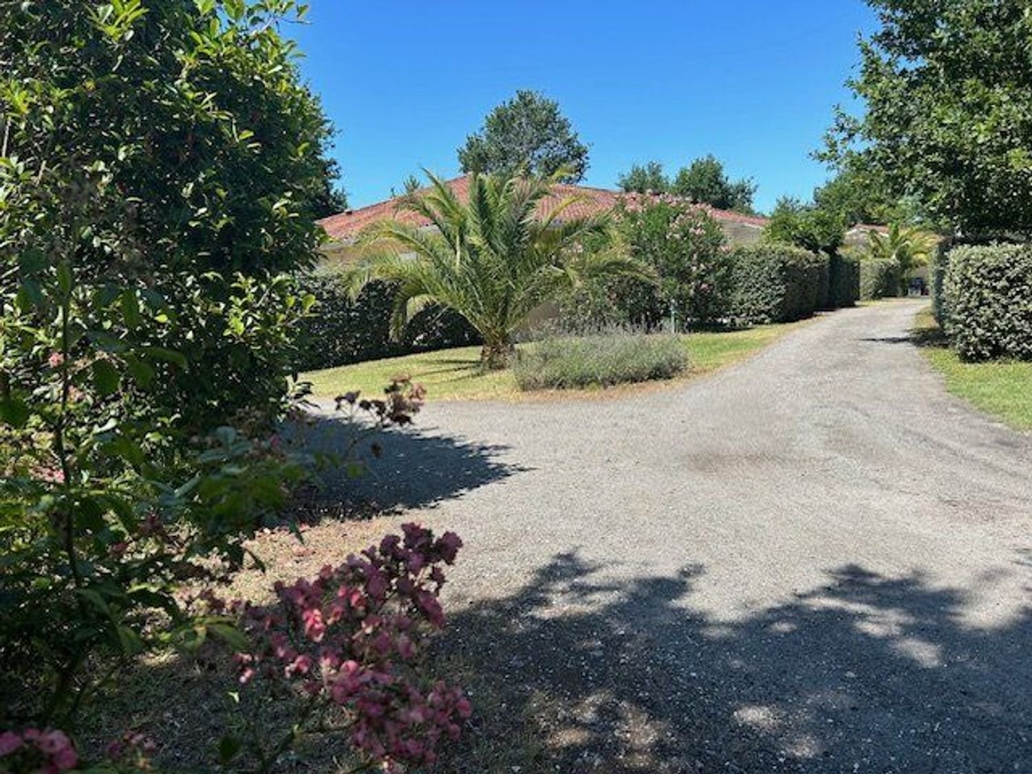 Maison à vendre, 210m², Sainte-Eulalie-en-Born