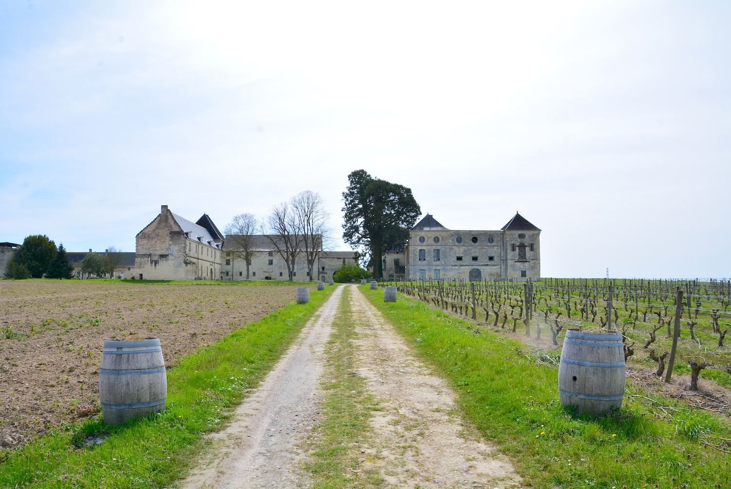 Maison à vendre, 1200m², Loiré