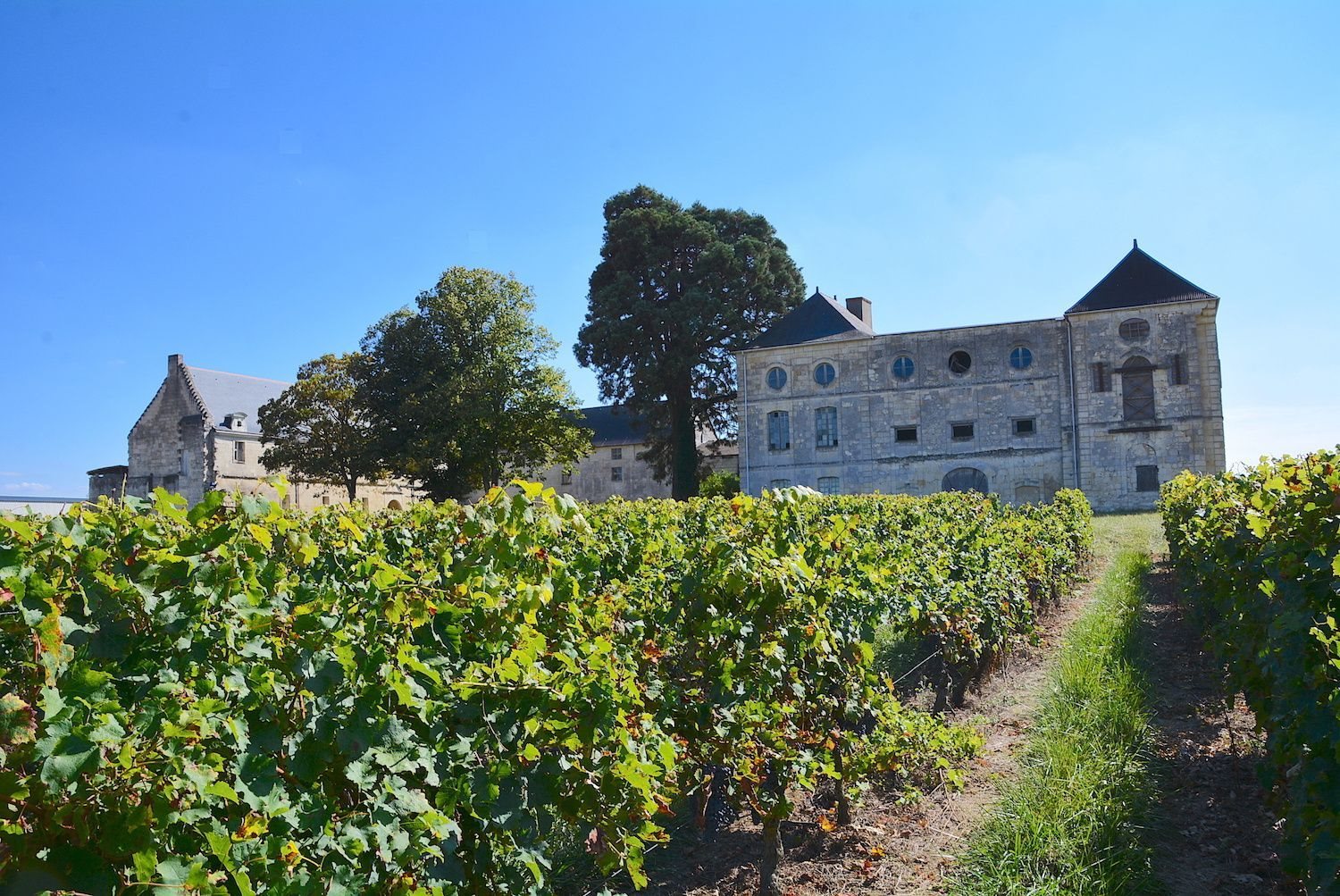 Maison à vendre, 1200m², Loiré
